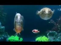 The Salmon Dance - das neue Chemical Brothers Video
