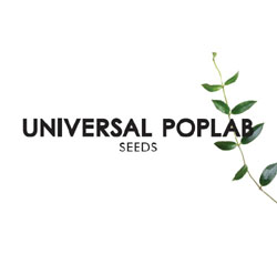 Universal Poplab: Neues Album