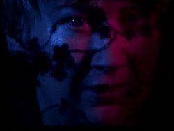 Anne Clark: Full Moon Video Online
