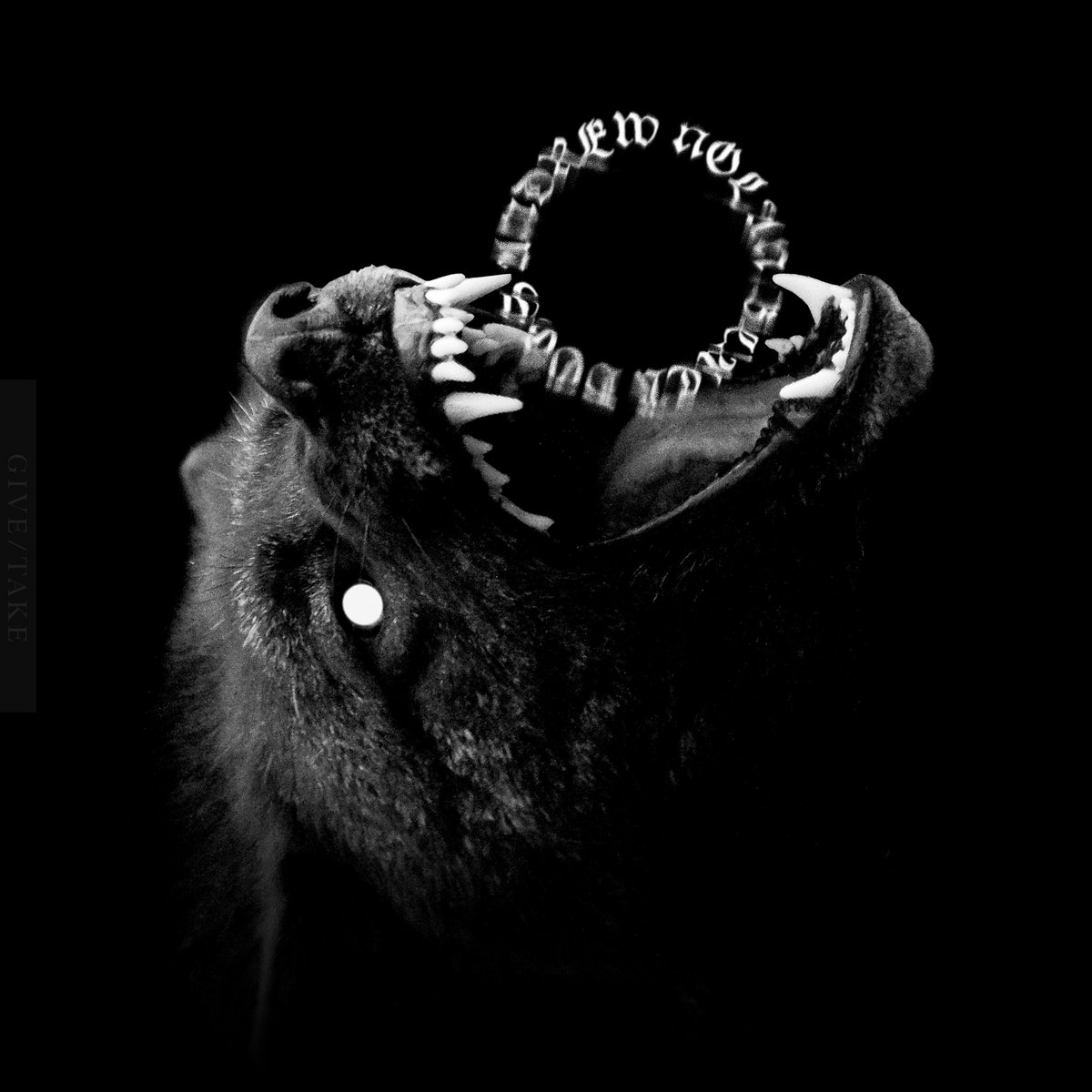'Black Dogs': 'Andrew Nolan' lässt die Geisterhunde los