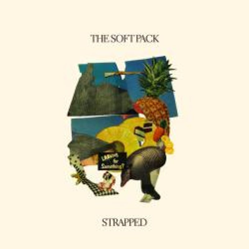 The Soft Pack - neues...