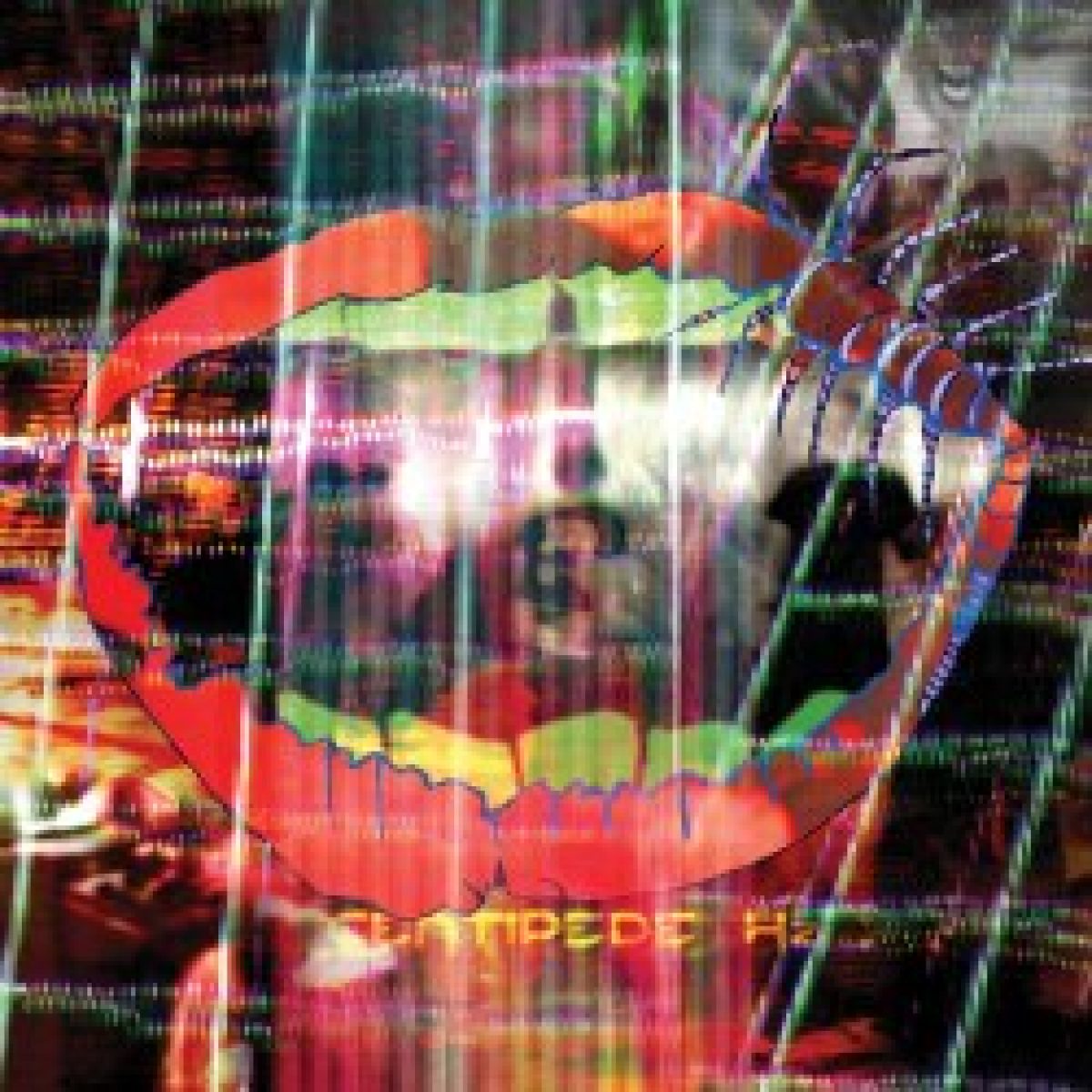 Neues Album von Animal Collective...