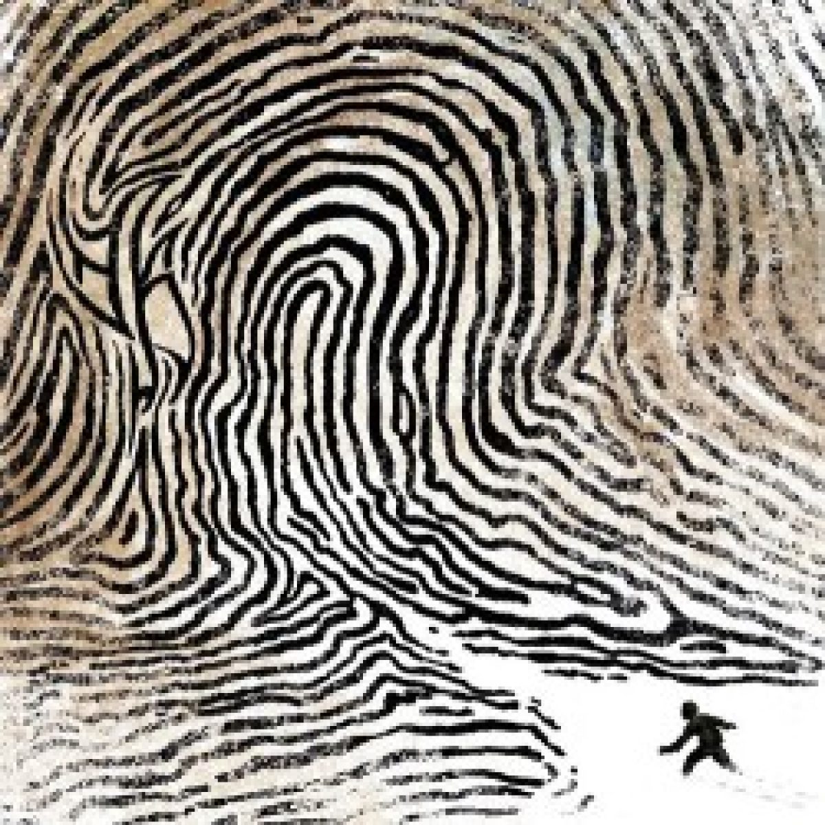 Nebelkrähe: Album-Artwork und Single