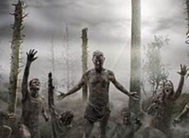 Finsterforst nun bei Napalm Records