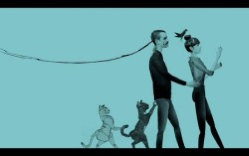 Sea+Air: Video "Do Animals Cry?"...