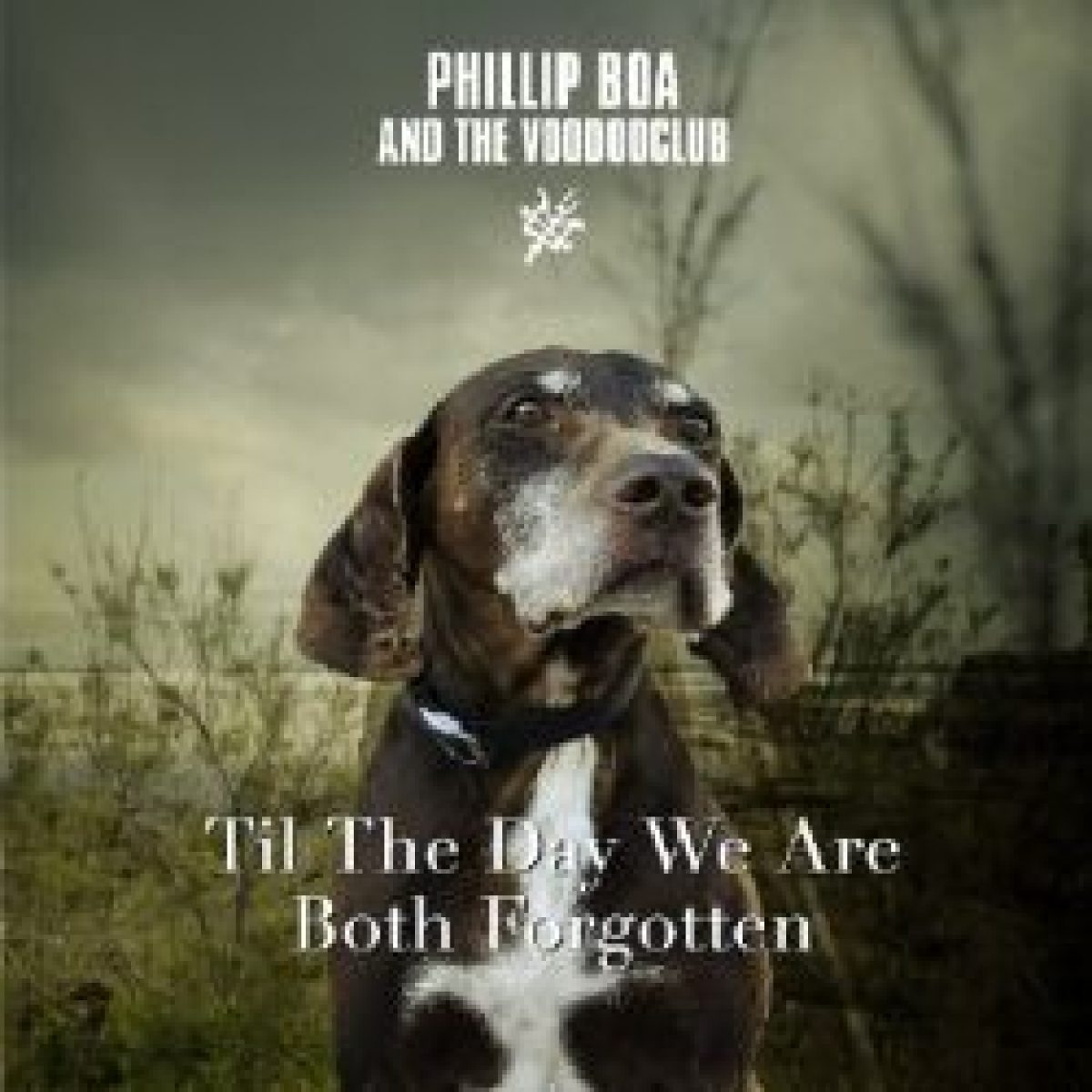 Phillip Boa veröffentlicht neue Single...