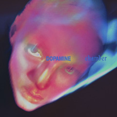 Fontaines D.C. - Dopamine Chamber