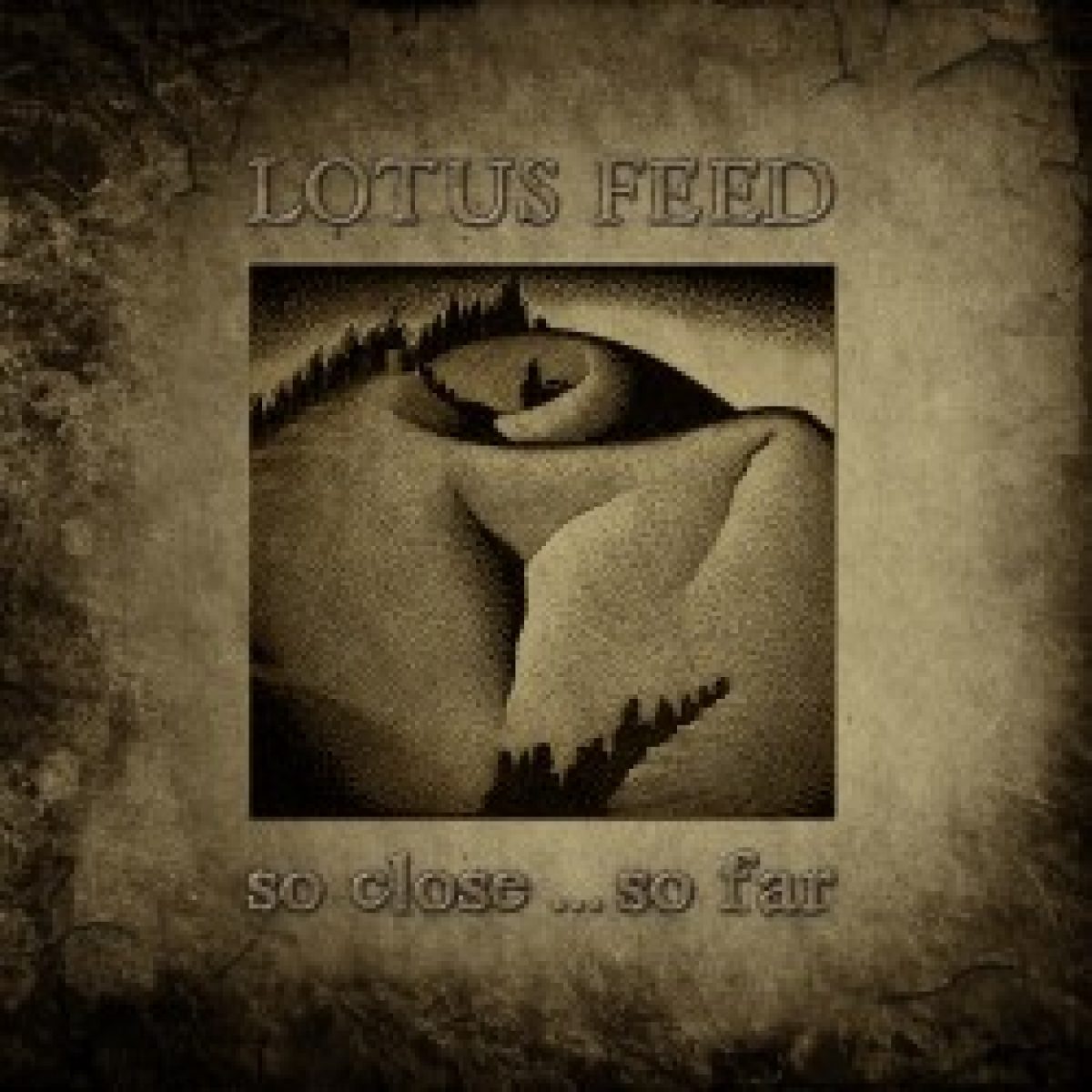 Post Punk von "Lotus Feed"...