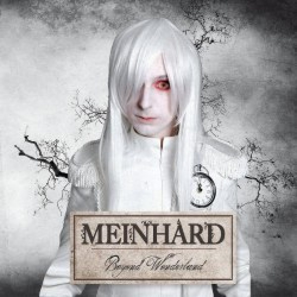 Meinhard: "Beyond Wonderland" erscheint im...