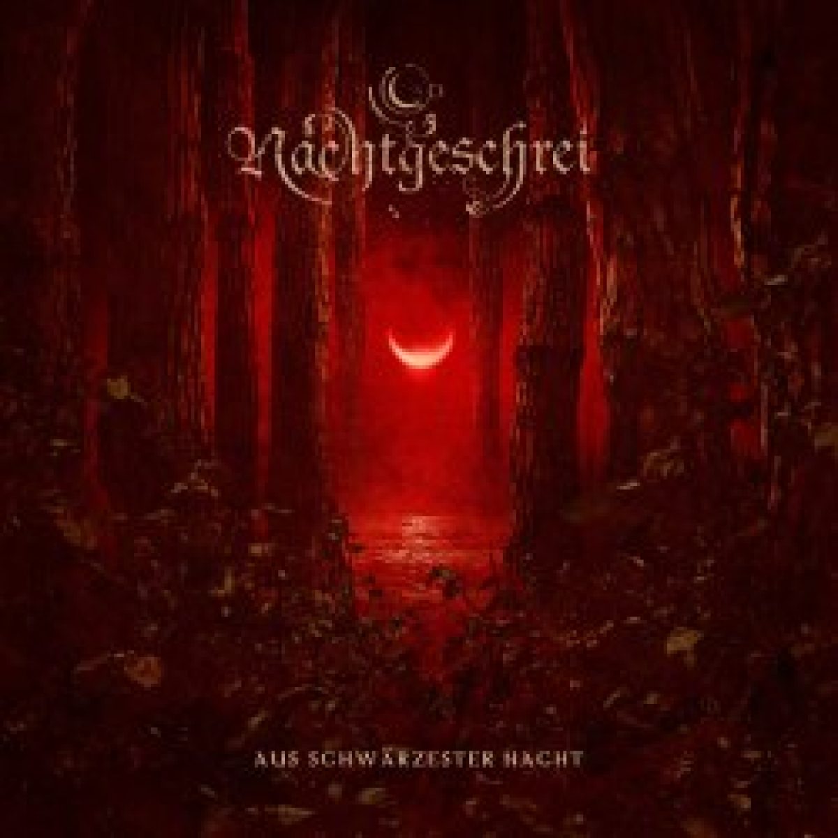 Nachtgeschrei enthüllen Artwork und Trackliste...