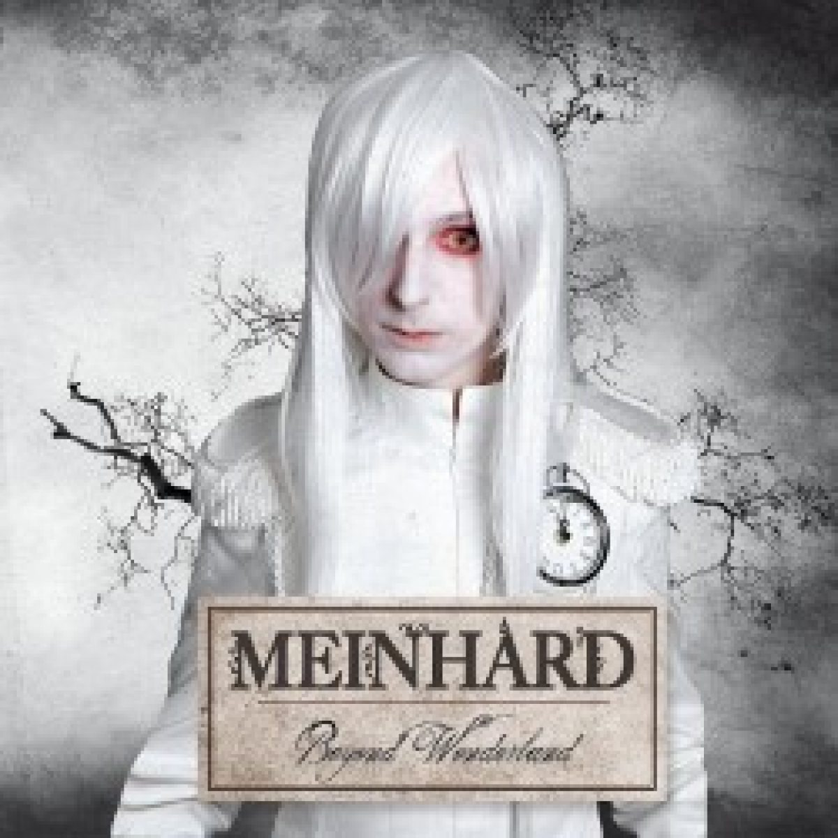 Meinhard: Beyond Wonderland und ein...