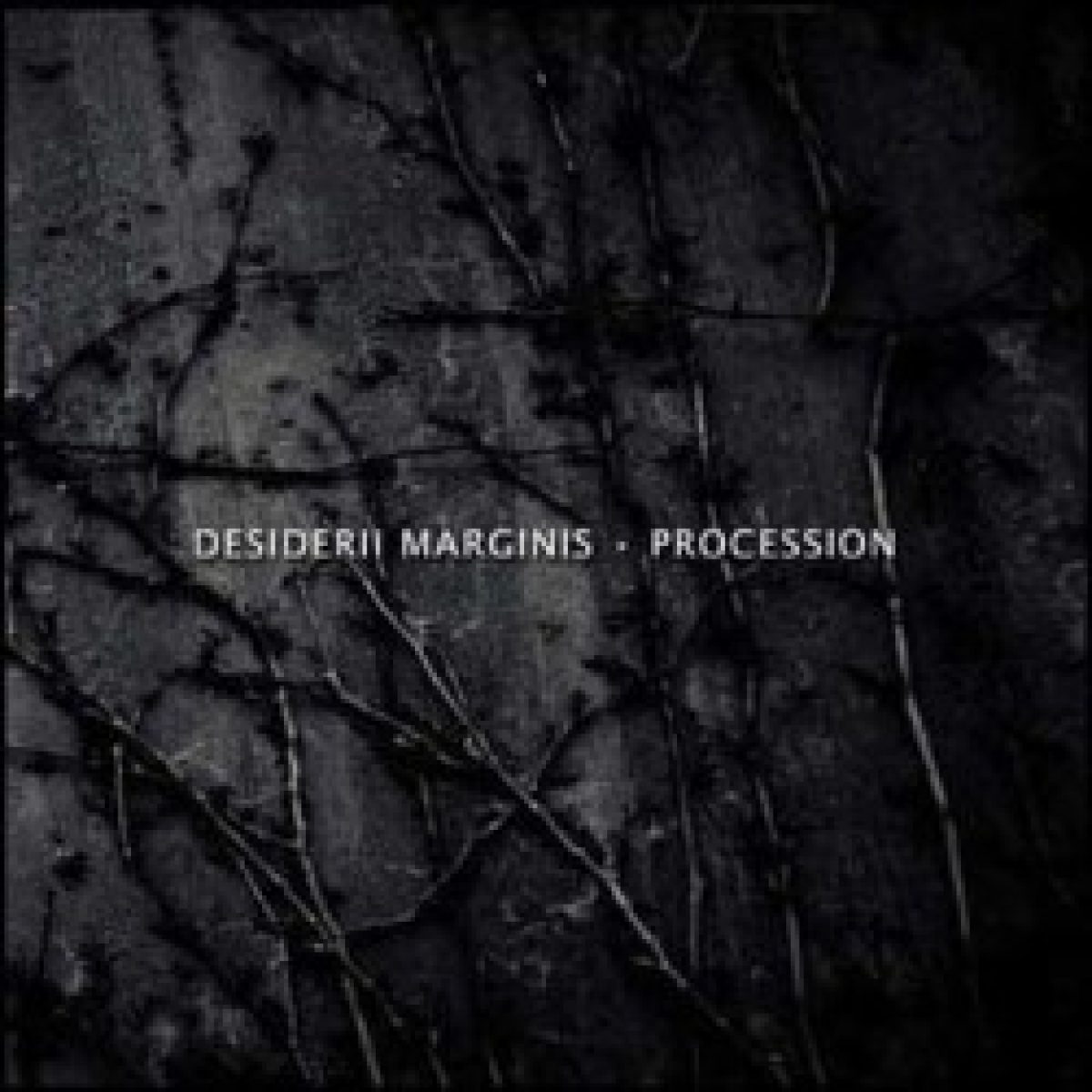 Desiderii Marginis: Vinyl-Version von "Procession"