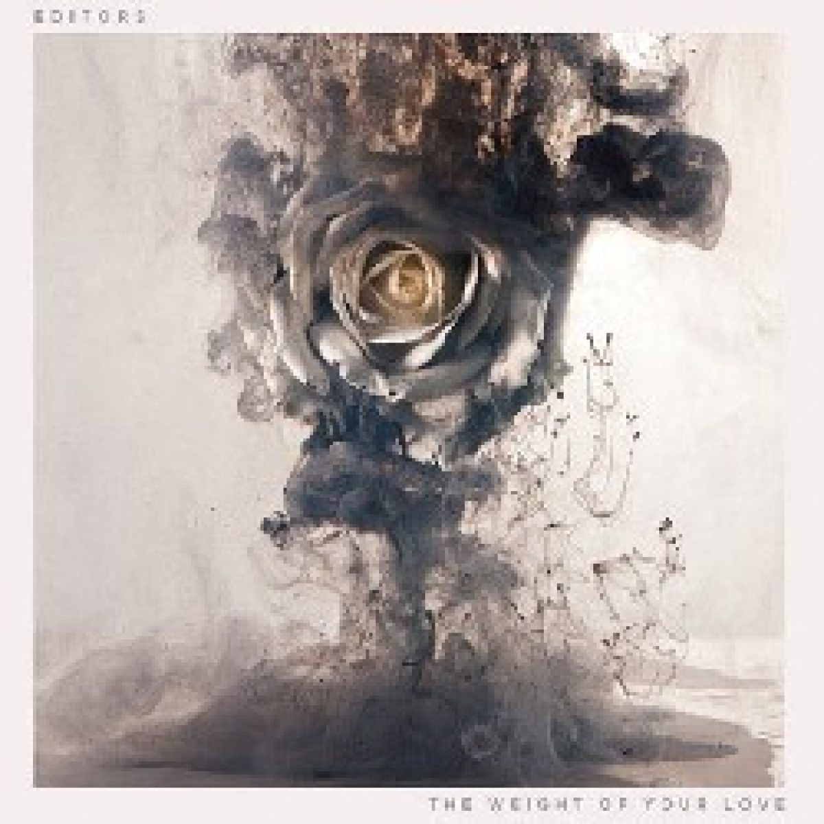 1000kg Liebe von den Editors