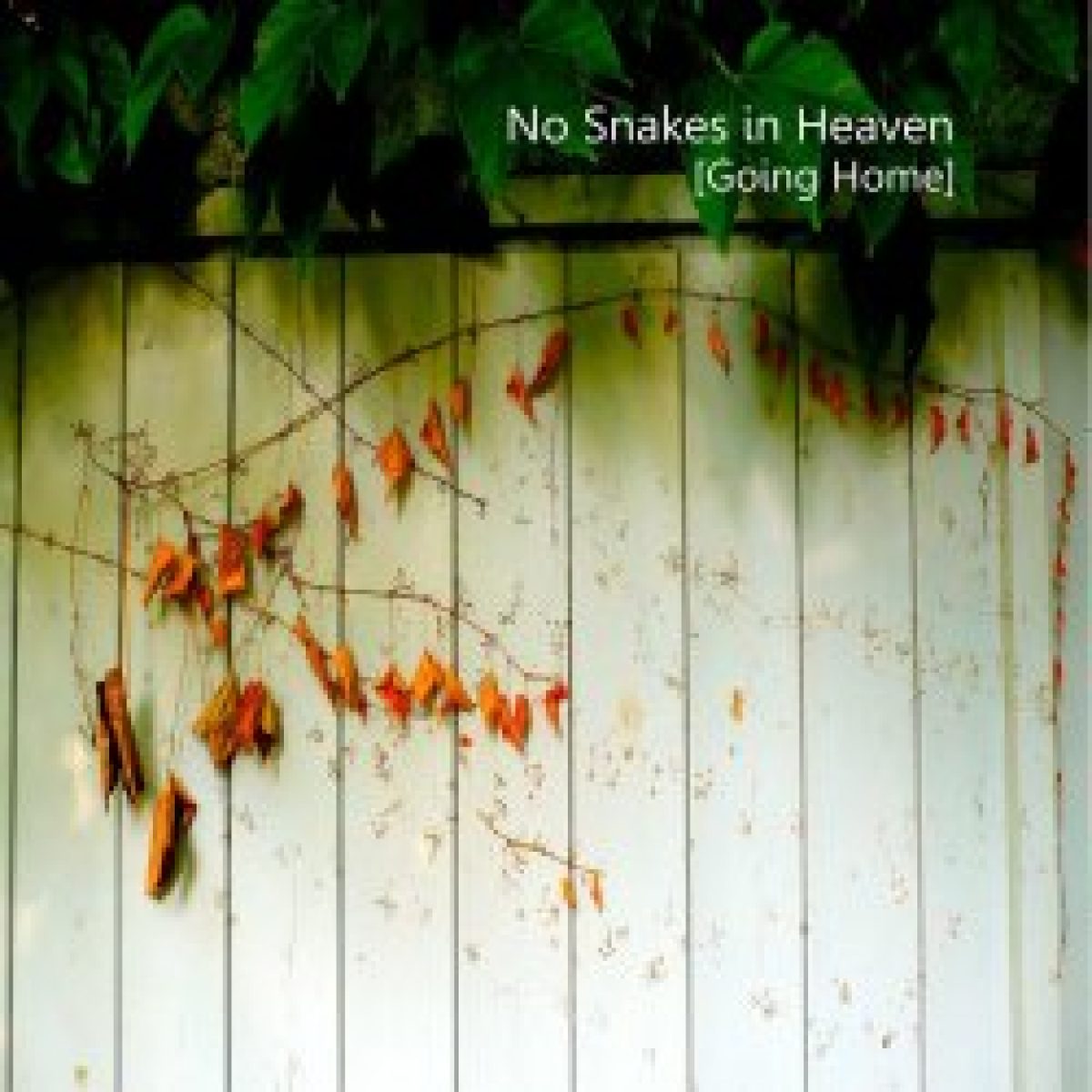 No Snakes In Heaven veröffentlichen...