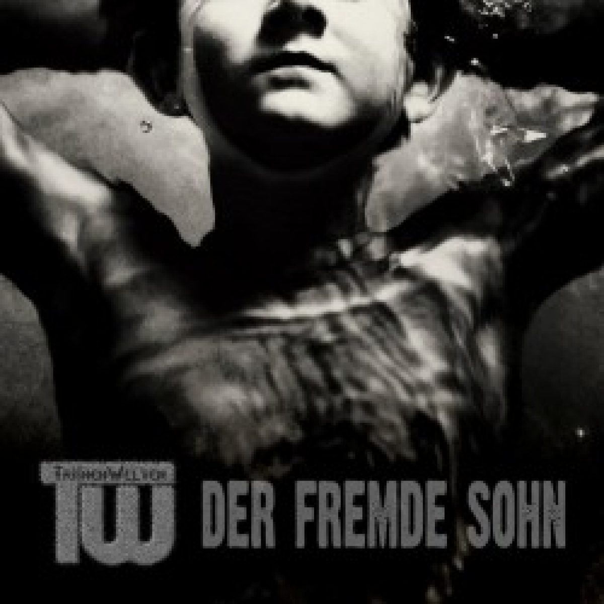 Tränenwelten veröffentlichen "Der fremde Sohn"