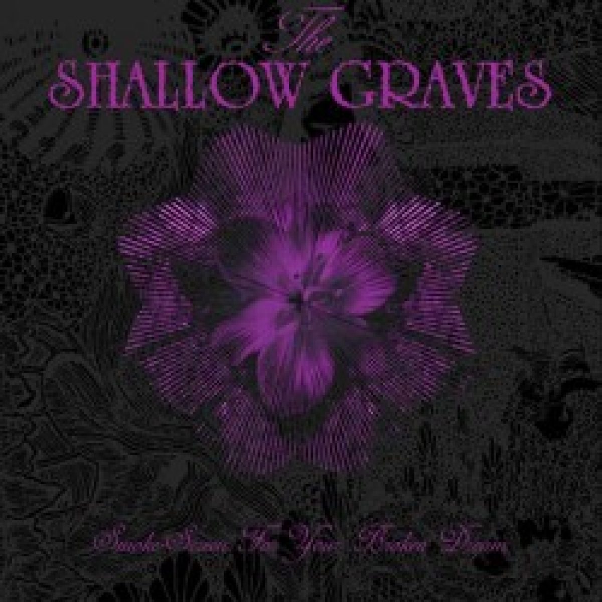 "The Shallow Graves" veröffentlichen Debütalbum...