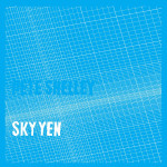 Pete Shelley: 'Sky Yen' – Elektronik mit eingebauter Partybremse