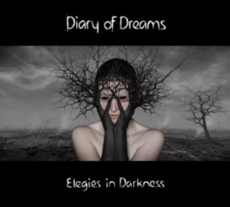 Diary Of Dreams: "Elegies In...