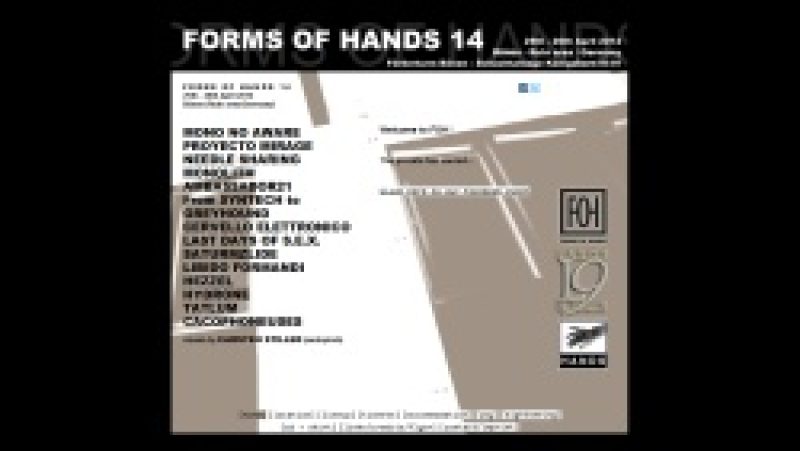 Festival: Forms Of Hands 14