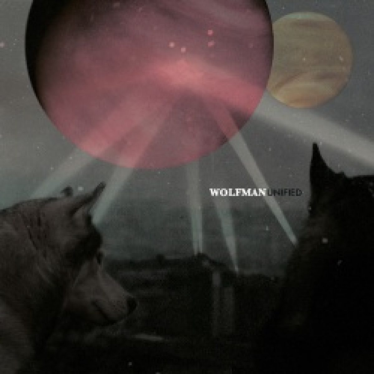 Wolfman: Electronic-Popper Wolfman auf Tour