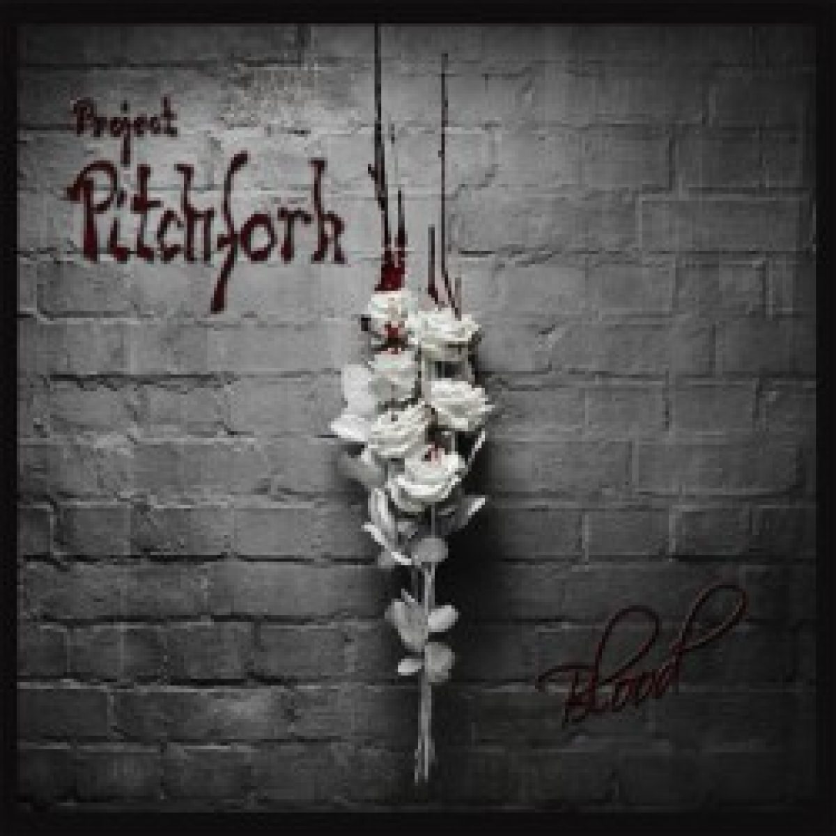 Neues Album "Blood" von Project...