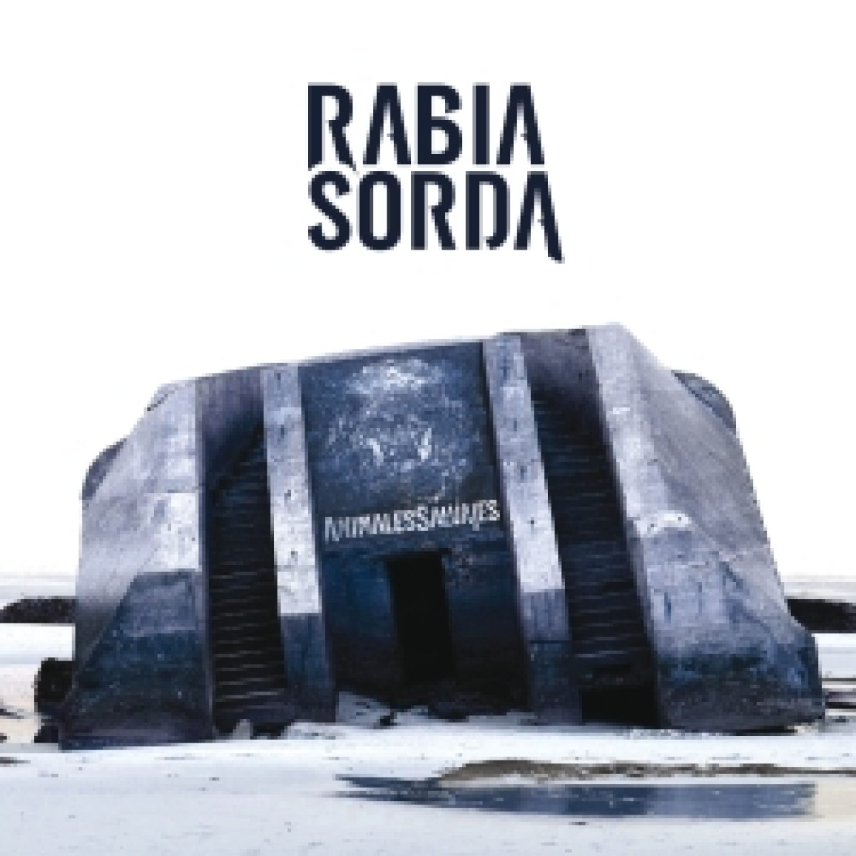 Rabia Sorda: "Animales Salvajes" erscheint...
