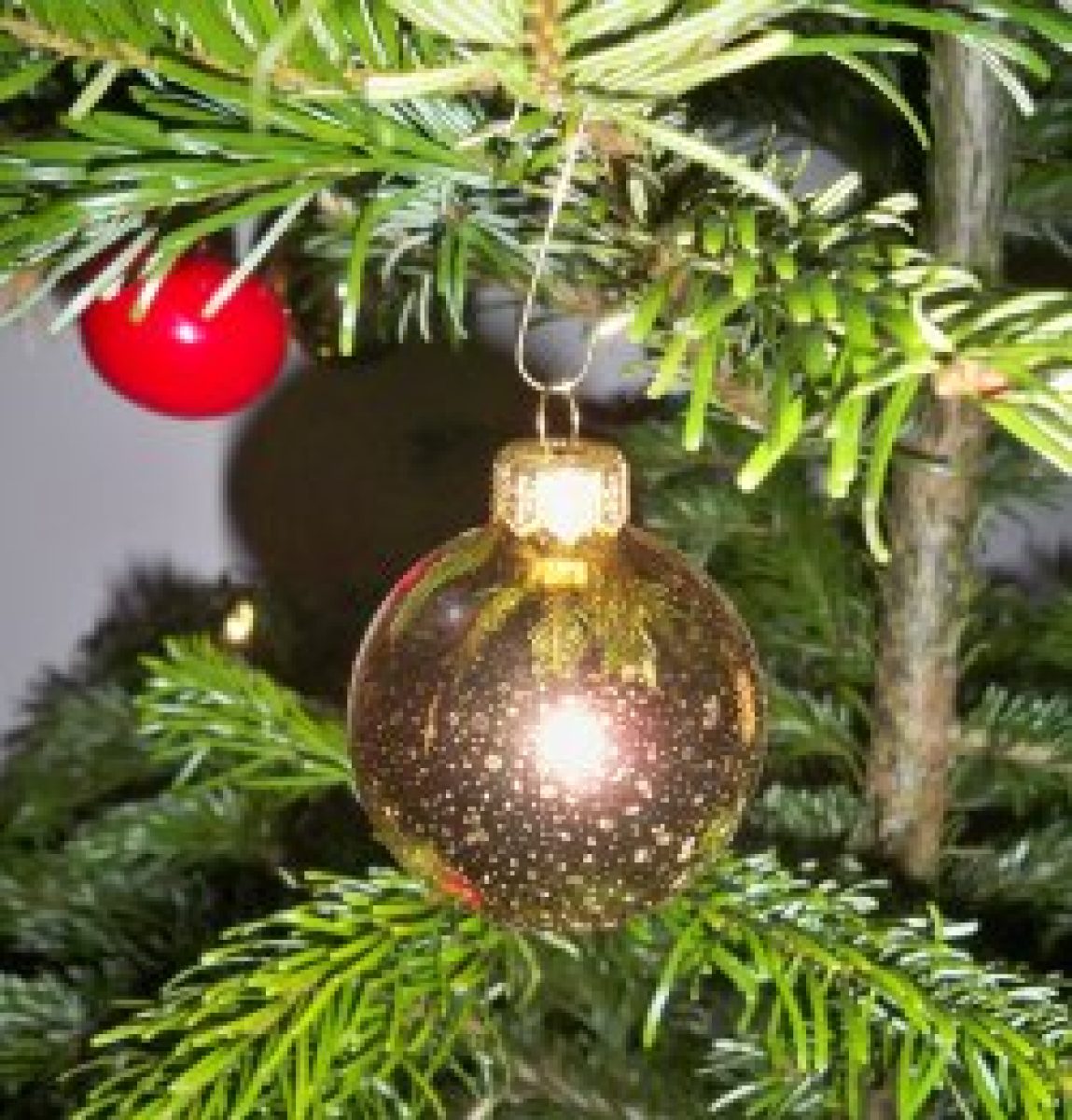 Frohe Weihnachten!!!
