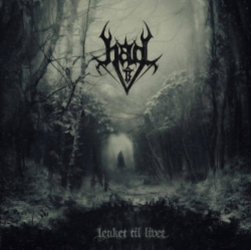 Hagl veröffentlichen Albumcover von "Lenket...