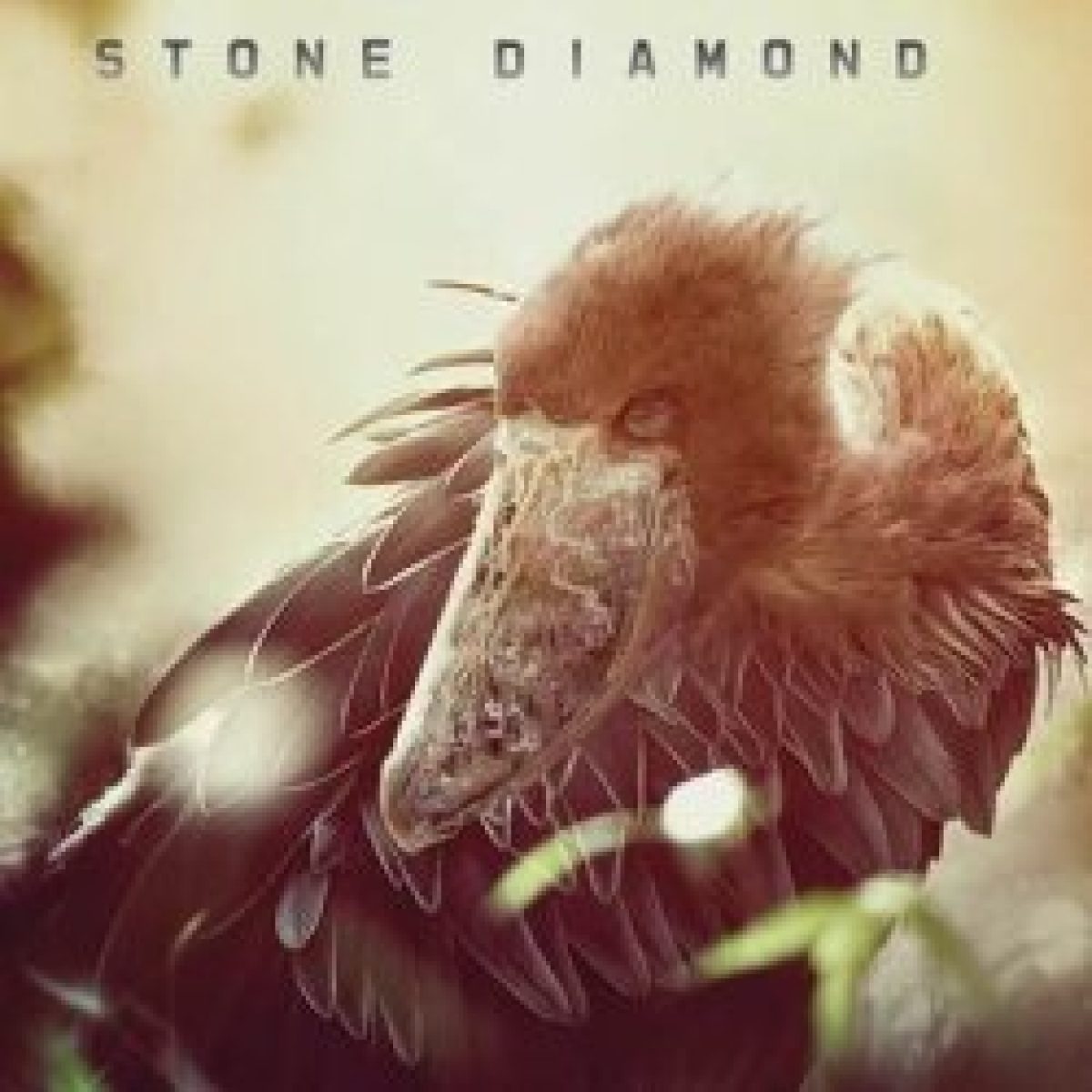 Stone Diamond veröffentlichen "Phoenix"