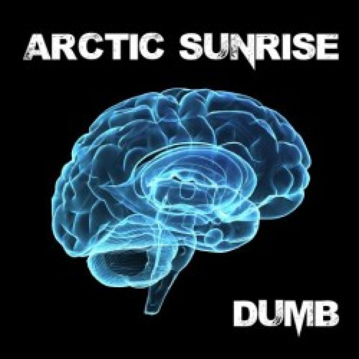 Arctic Sunrise: zweite Single "Real...
