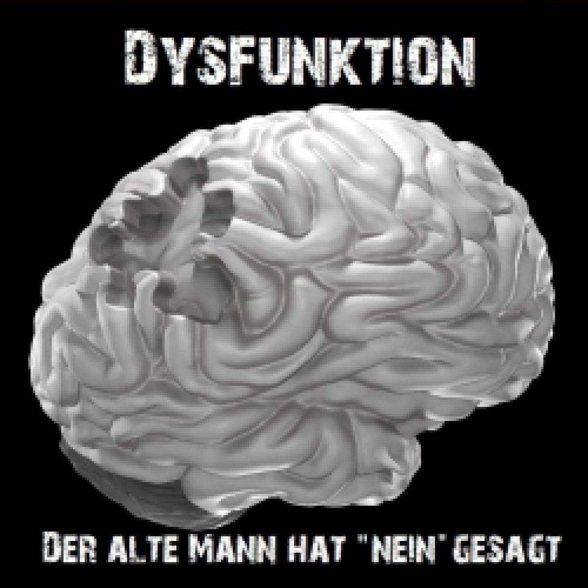 Erstes Album von "Dyfunktion"