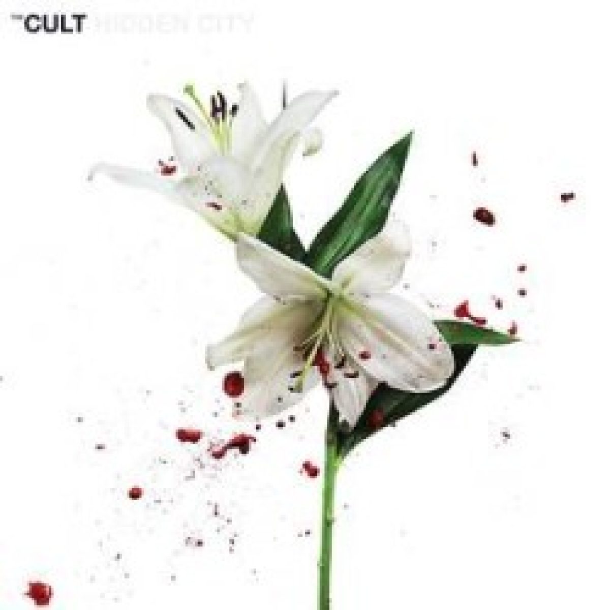 The Cult beenden Albentrilogie mit...