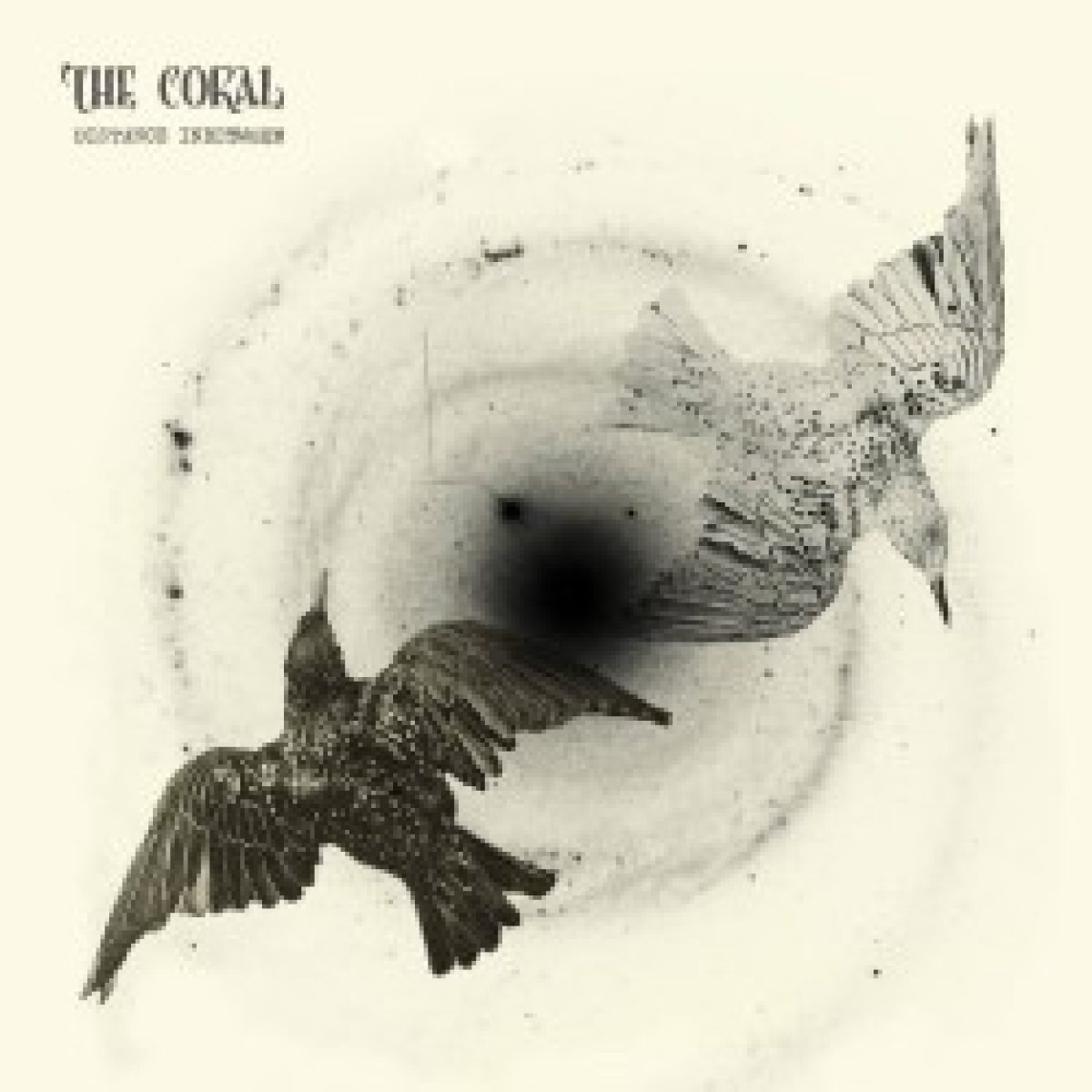 Ohrenschmaus von "The Coral"