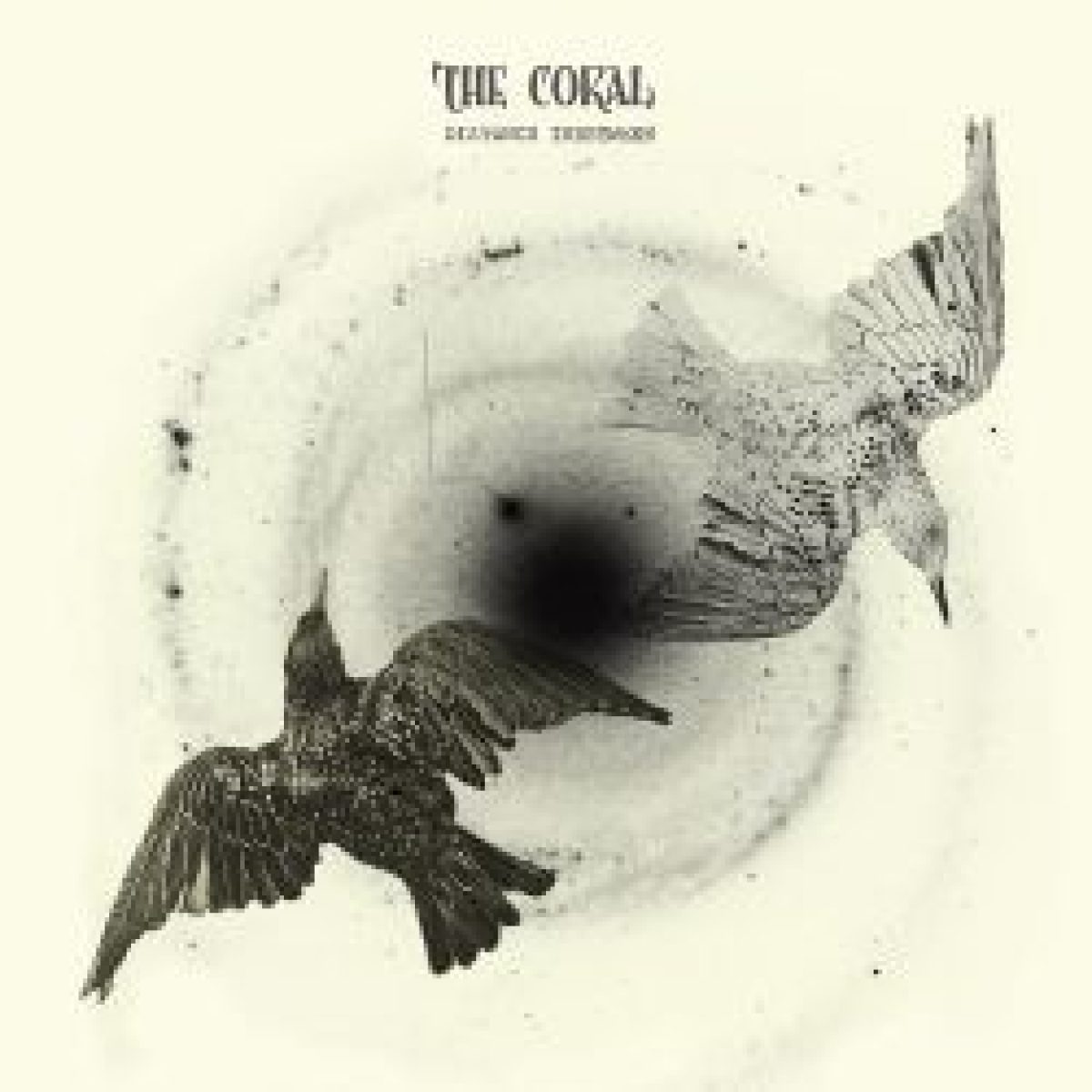 Knallbunter Trip von "The Coral"