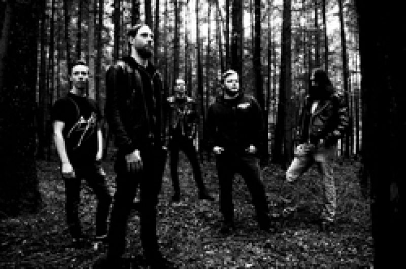 Waldgeflüster: Studioaufnahmen zum neuen Album