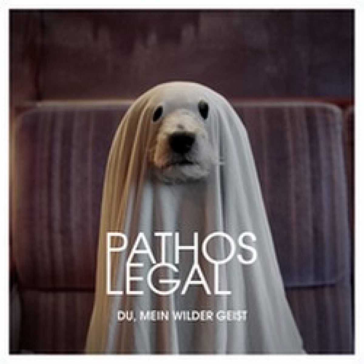 Pathos Legal: Elektropop trifft Klassik