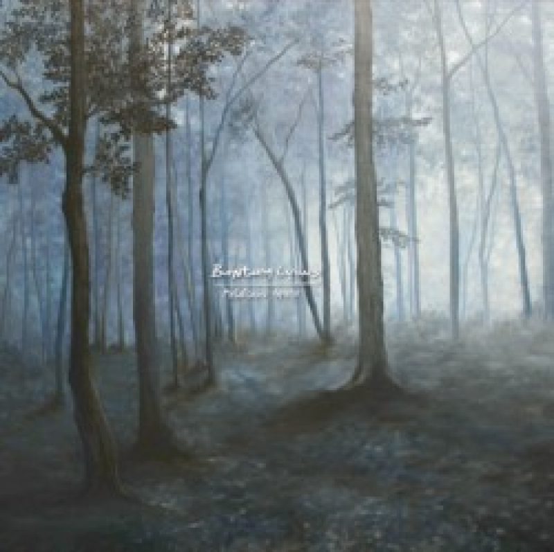 Debut von "Bantam Lyons"