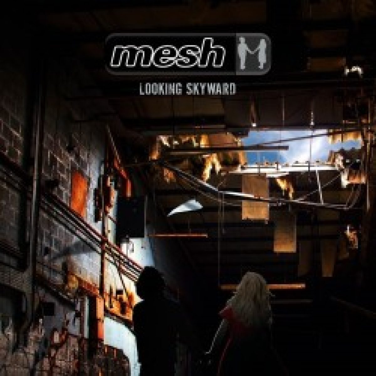 Mesh Album Looking Skyward erscheint...