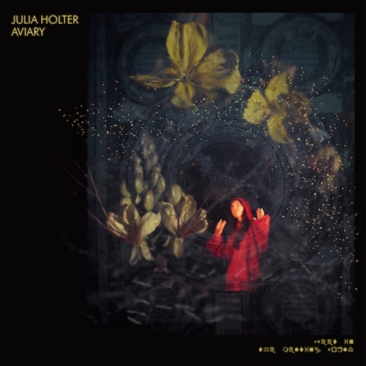 Julia Holter: Album "Aviary" kommt...